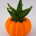 pumpkin_planter-03