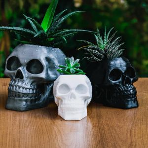 Skull Planter Outside