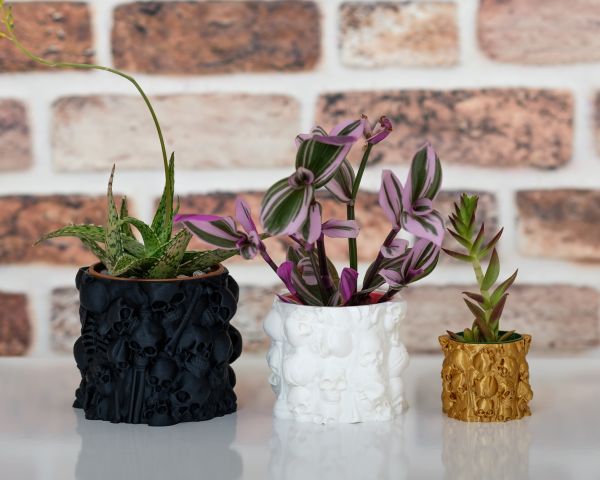 3D-printed Wall of Skulls Planter for succulents and cacti