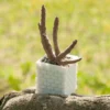 A square 3D printed cactus and succulent pot with a brick pattern design, perfect for modern plant displays.