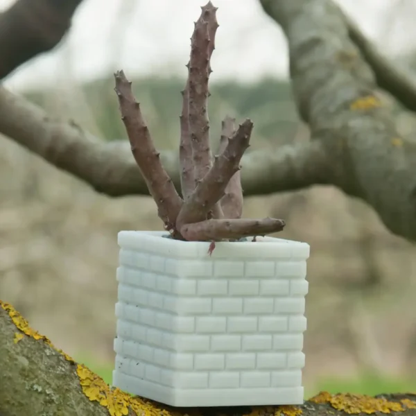 A square 3D printed cactus and succulent pot with a brick pattern design, perfect for modern plant displays.