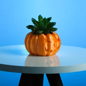 A pumpkin planter, available in classic pumpkin and Jack O'Lantern designs. Perfect for succulents and small plants.