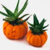 A pumpkin planter, available in classic pumpkin and Jack O'Lantern designs. Perfect for succulents and small plants.