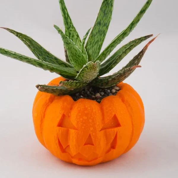 A pumpkin planter, available in classic pumpkin and Jack O'Lantern designs. Perfect for succulents and small plants.