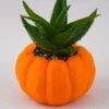 A pumpkin planter, available in classic pumpkin and Jack O'Lantern designs. Perfect for succulents and small plants.