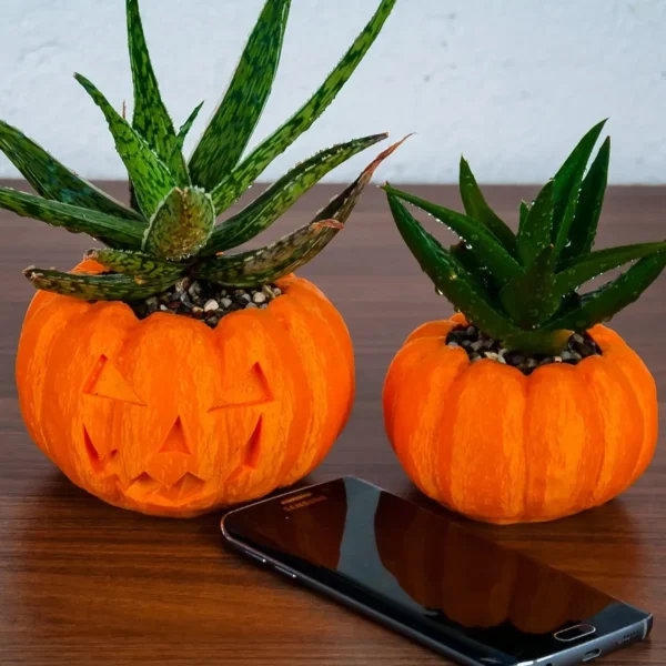 A pumpkin planter, available in classic pumpkin and Jack O'Lantern designs. Perfect for succulents and small plants.