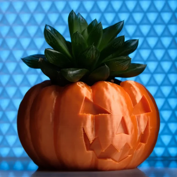 A pumpkin planter, available in classic pumpkin and Jack O'Lantern designs. Perfect for succulents and small plants.