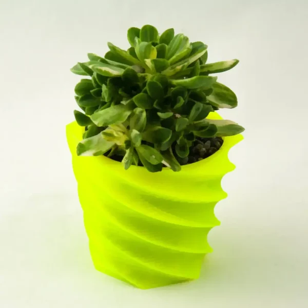 A spiral design succulent cactus planter that doubles as a pen holder and desk organizer, perfect for modern home and office decor.