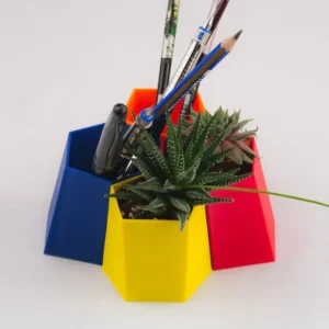 A pair of scutoid-shaped succulent planters and pen holders, perfect for adding a unique and functional touch to your home or office decor.