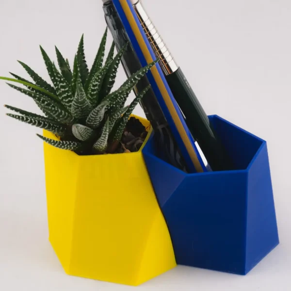 A pair of scutoid-shaped succulent planters and pen holders, perfect for adding a unique and functional touch to your home or office decor.