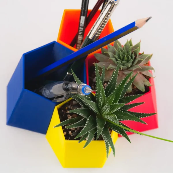 A pair of scutoid-shaped succulent planters and pen holders, perfect for adding a unique and functional touch to your home or office decor.