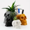 A human skull-shaped planter and pen holder, perfect for adding a unique and functional touch to your home or office decor.