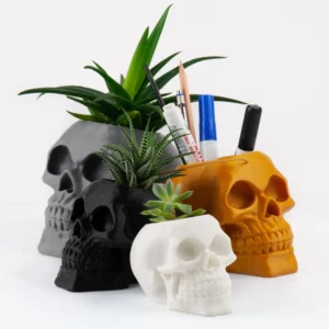 A human skull-shaped planter and pen holder, perfect for adding a unique and functional touch to your home or office decor.