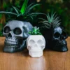 A human skull-shaped planter and pen holder, perfect for adding a unique and functional touch to your home or office decor.