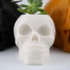 A human skull-shaped planter and pen holder, perfect for adding a unique and functional touch to your home or office decor.