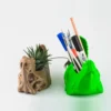 A T-Rex skull succulent planter and pen holder, perfect for adding a unique and functional touch to your home or office decor.